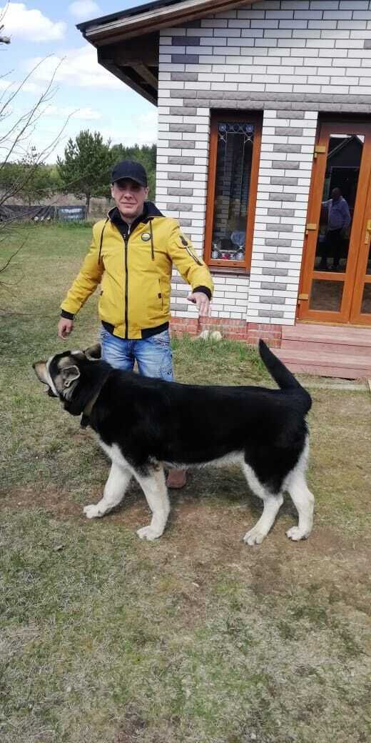 ���� 45174812 ������� ����, 46 ���, ���� ���������� � ������