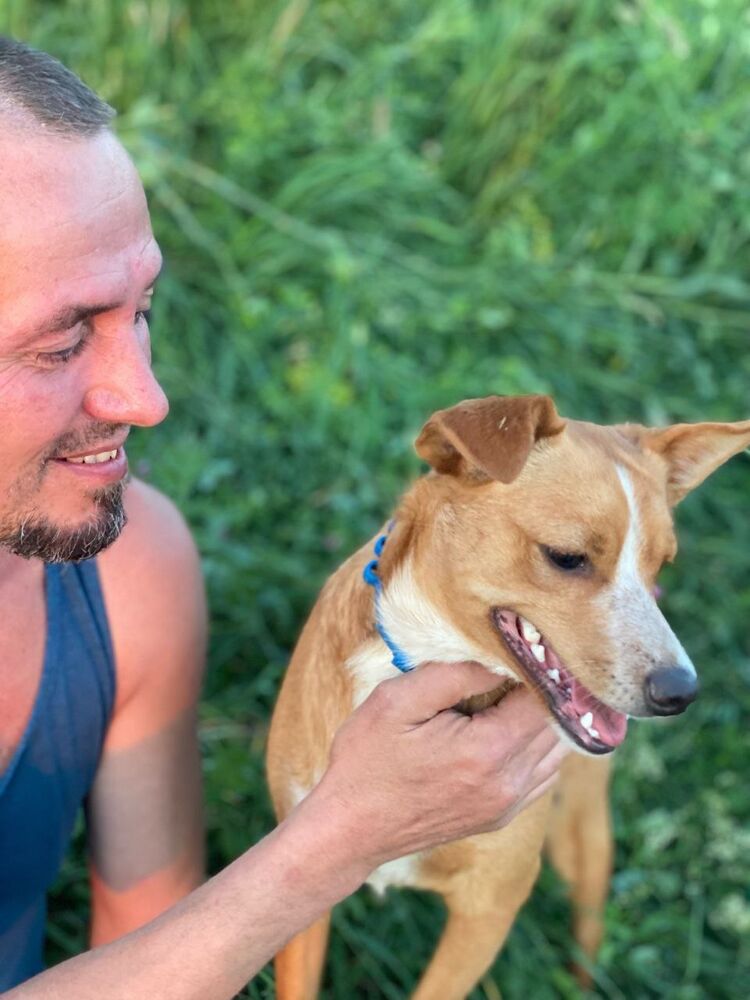 ���������� ������ ��������, ���� ������� �����, 38 ���, ������������ ��� ������, ����� � ���������