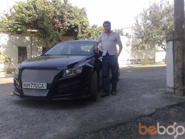  ,   Wolf, 41 ,   ,   , c , 