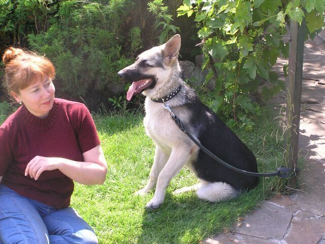 ���� 50863462 ������� �������, 54 ����, ���� ���������� � �����-����������