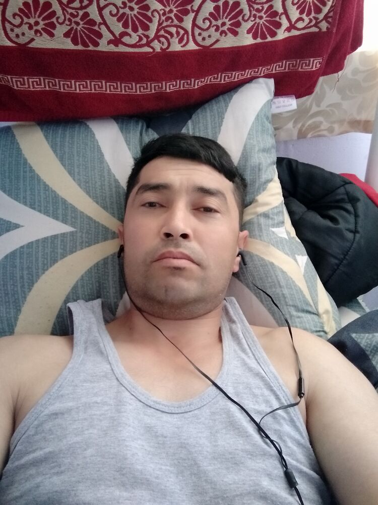  28213552  , 38 ,    