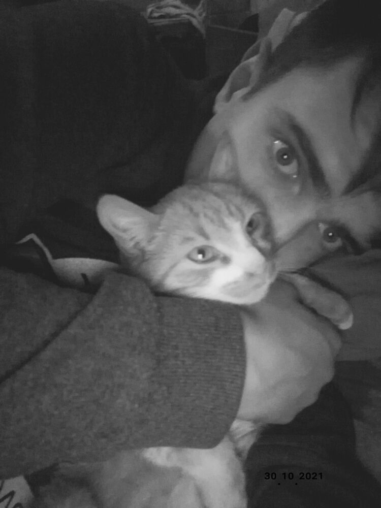 ���� 24488532 ����� ����, 24 ����, ���� ���������� � ������