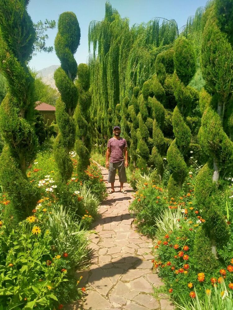 ���������� �����-���������, ���� ������� ���, 41 ���, ������������ ��� ������, ����� � ���������