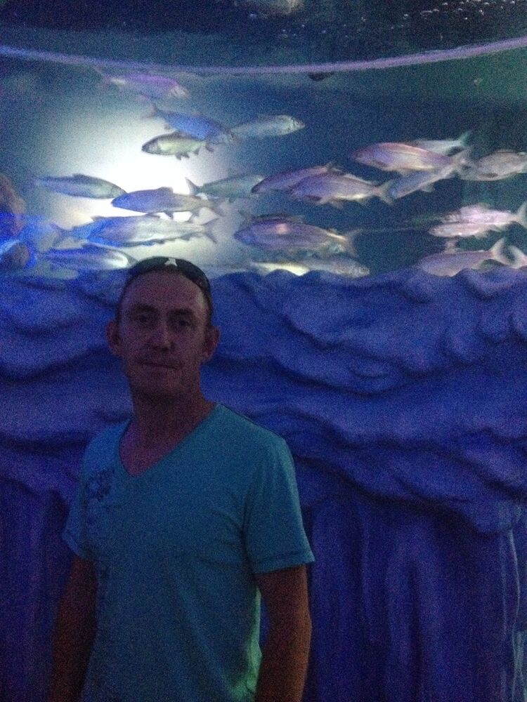 ���� 8629462 ������� ������, 45 ���, ���� ���������� � �����-����������