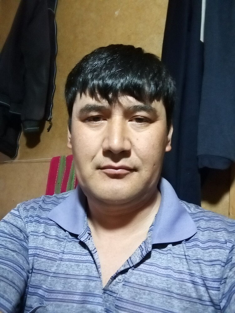  33720632  , 41 ,    
