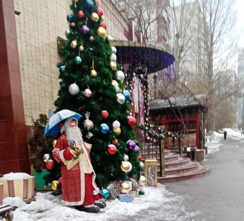 ���� 31677682 ������� Nadin, 52 ����, ���� ���������� � ������