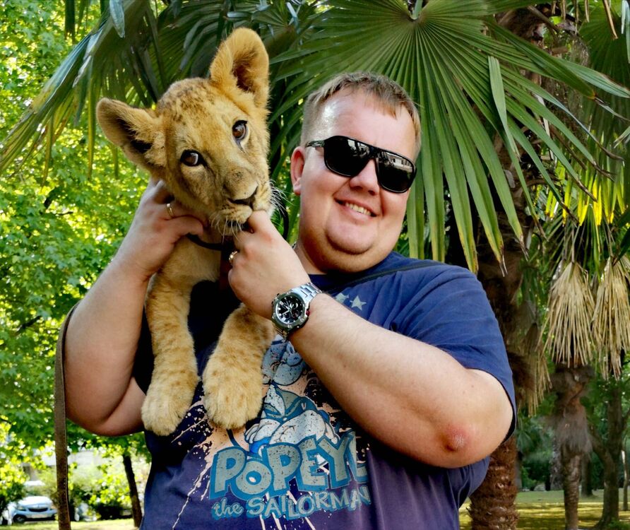 ���� 56272012 ������� ����������, 39 ���, ���� ���������� � ������