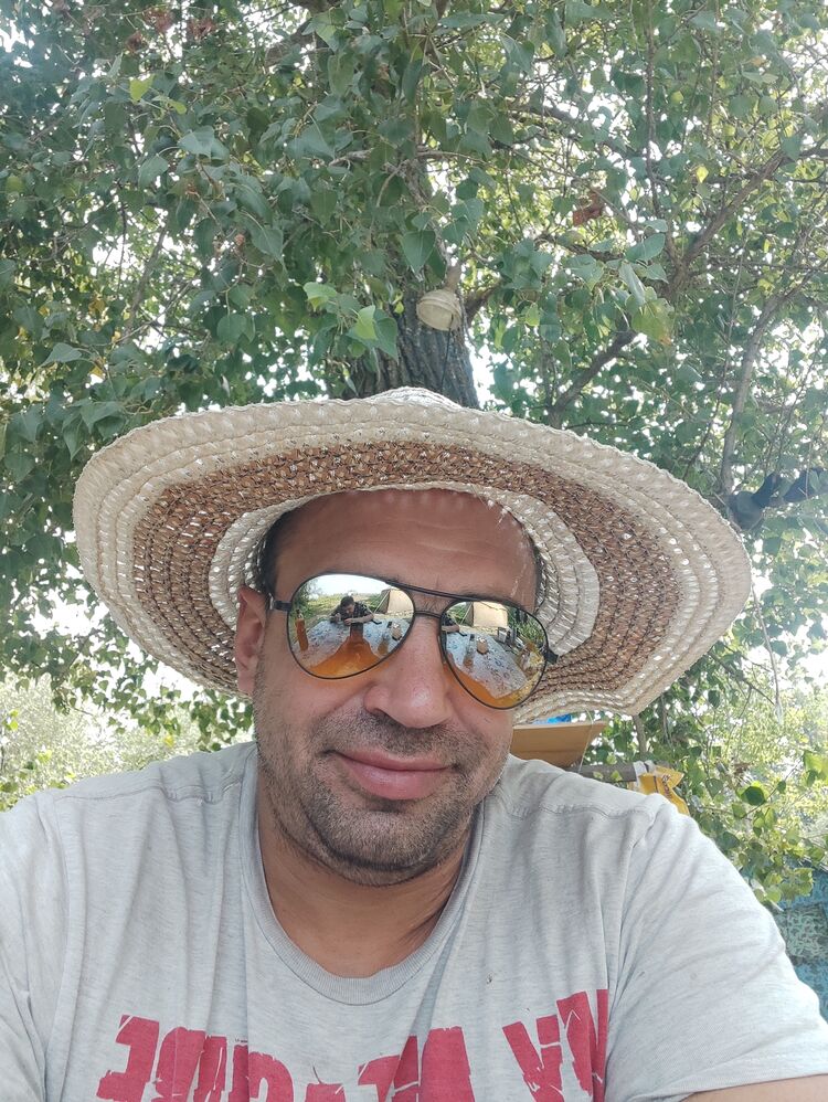  29595782  , 41 ,    
