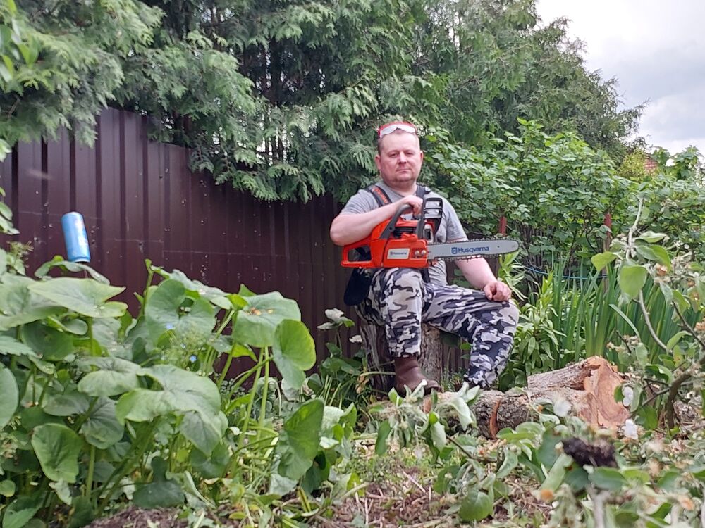 ���������� �����, ���� ������� ������, 43 ����, ������������ ��� ������, ����� � ���������, c�������� ���������, ���������