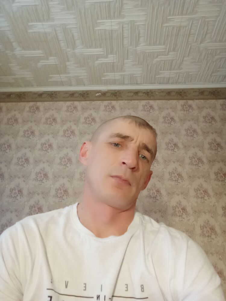  50354022  , 41 ,    