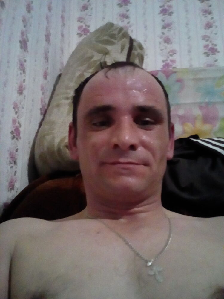  16556212  , 41 ,    