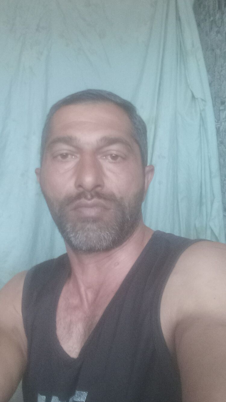  51096382  , 43 ,    
