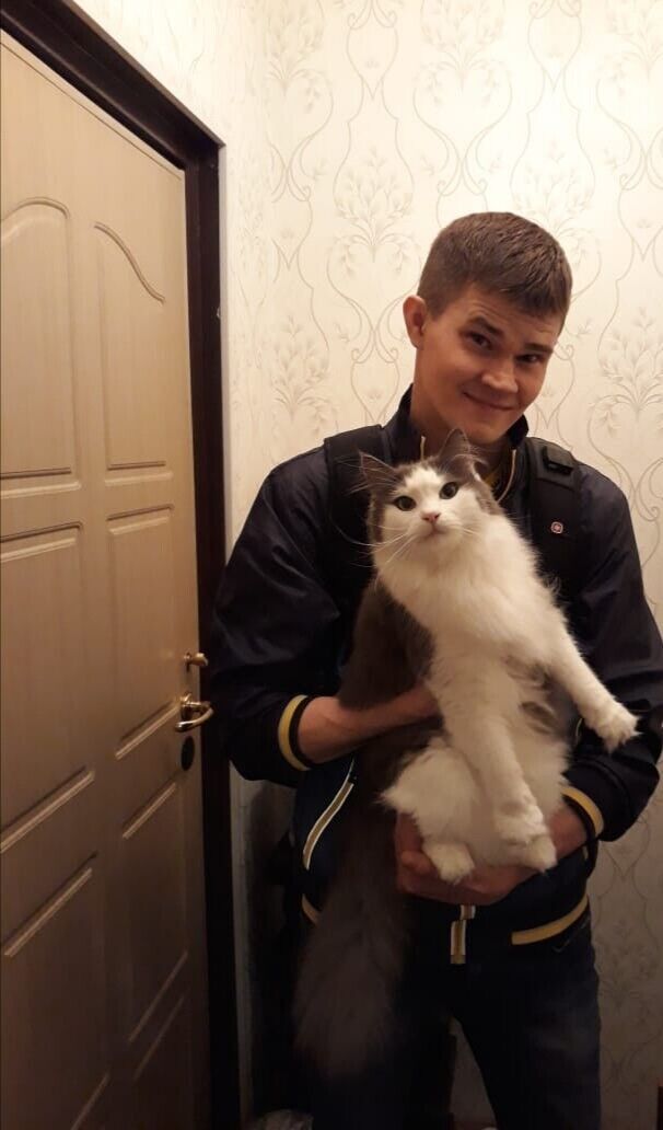 ���������� �����������, ���� ������� �����, 34 ����, ������������ ��� ������, ����� � ���������, c�������� ���������, ���������