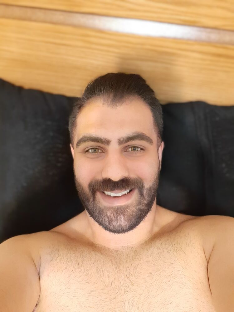  33604572  , 33 ,    