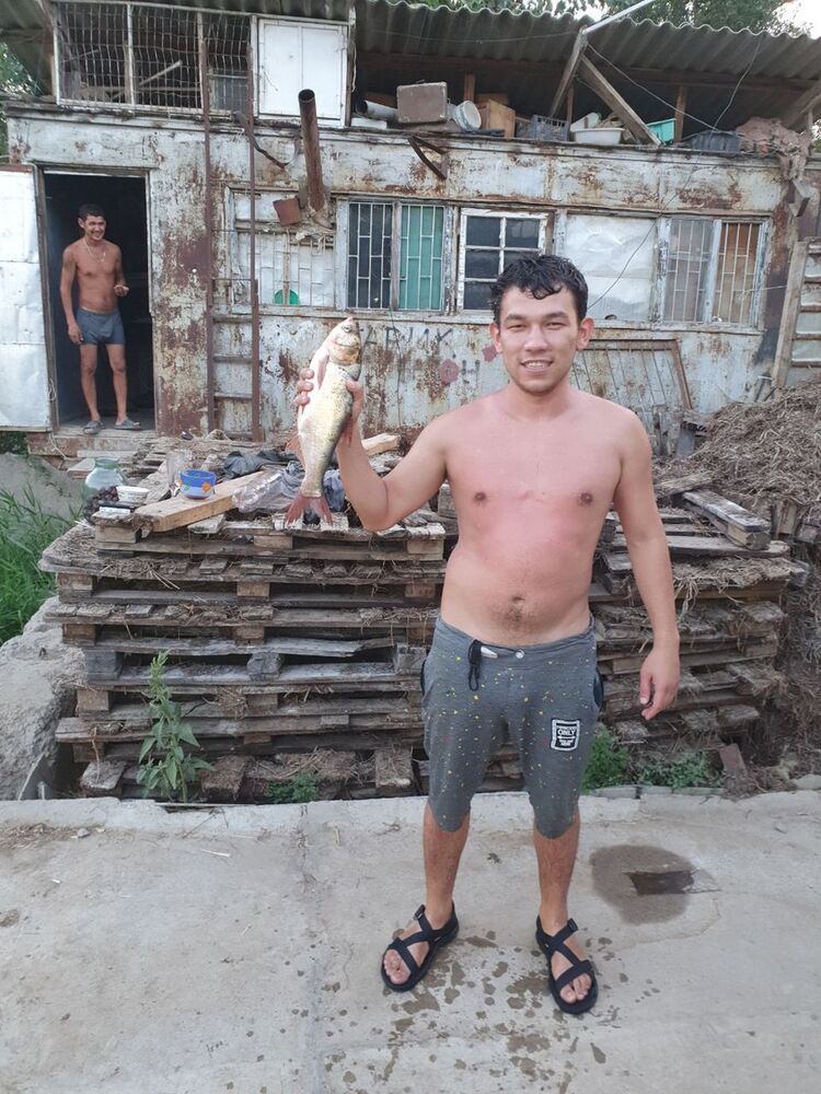 ���� 16989402 ������� ���, 31 ���, ���� ���������� � ��������