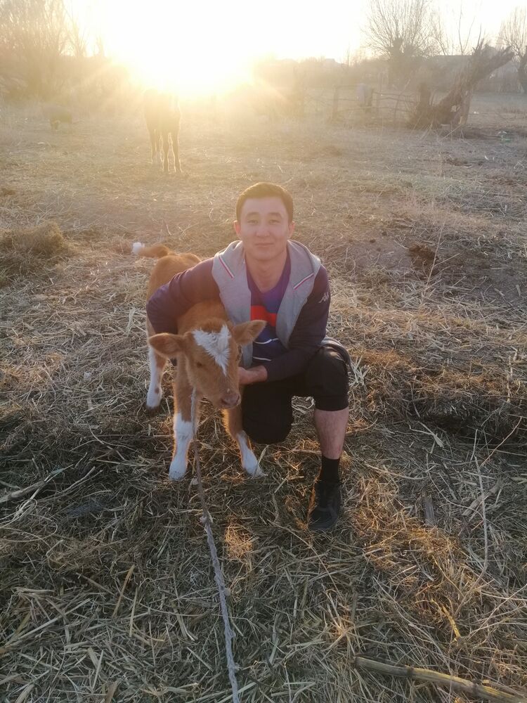 ���� 22927522 ������� �����, 34 ����, ���� ���������� � ������