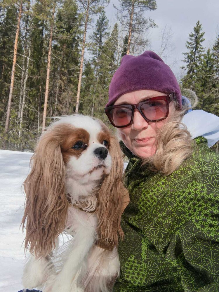 ���������� �����������, ���� ������� �����, 50 ���, ������������ ��� c�������� ���������