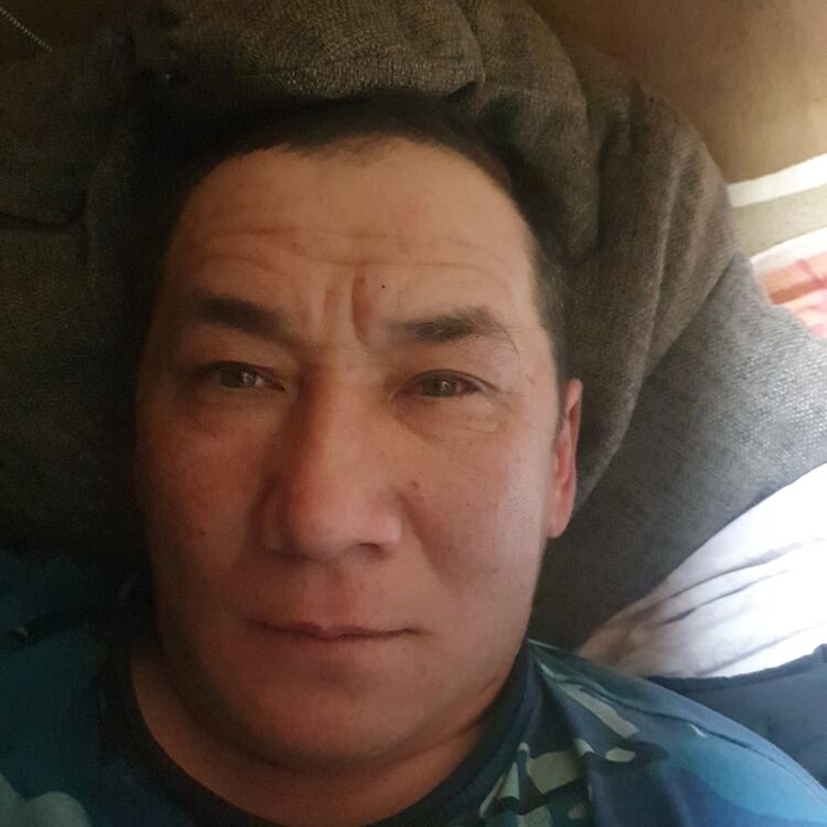 ���� 34512982 ������� �����, 46 ���, ���� ���������� � �������