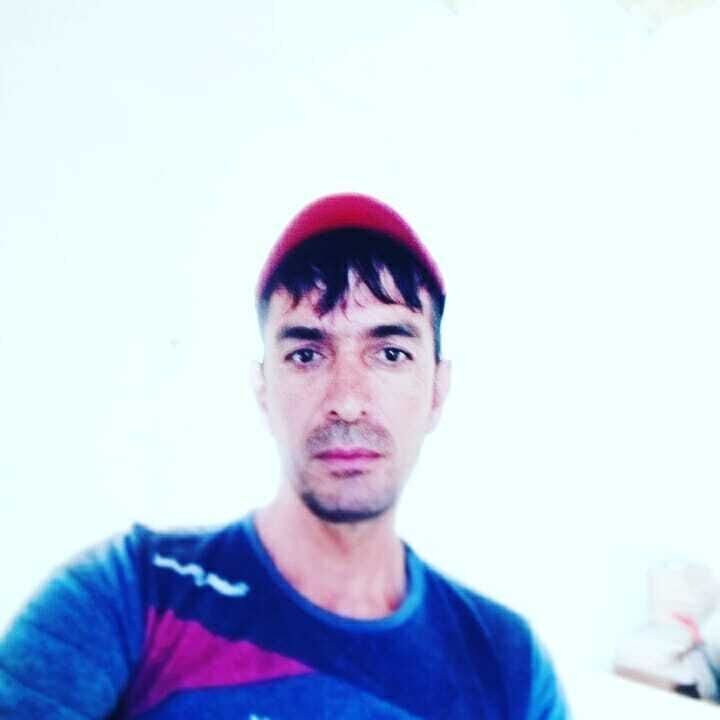  23660162  , 43 ,    