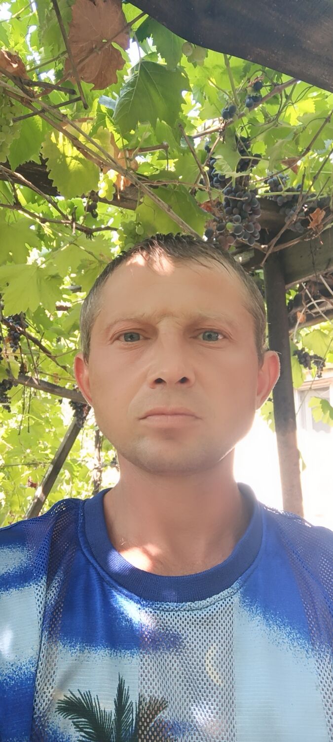  45690282  , 41 ,    