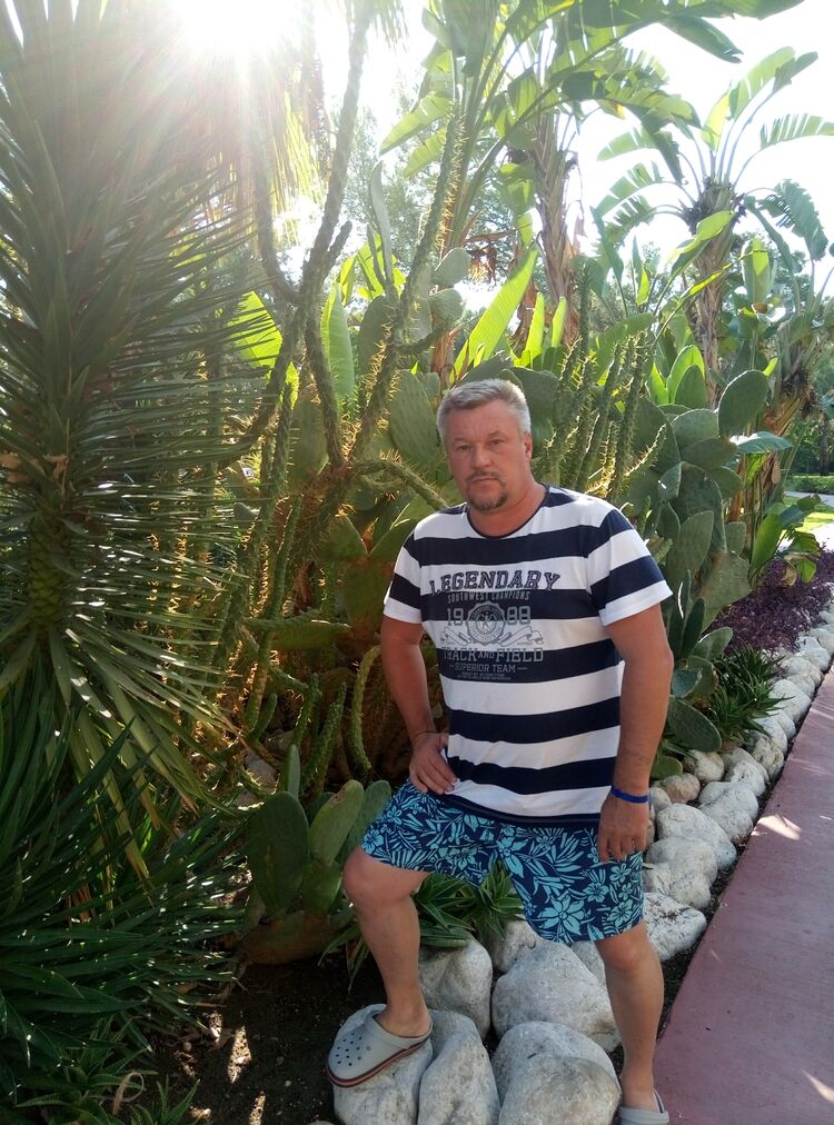  ,   , 50 ,  