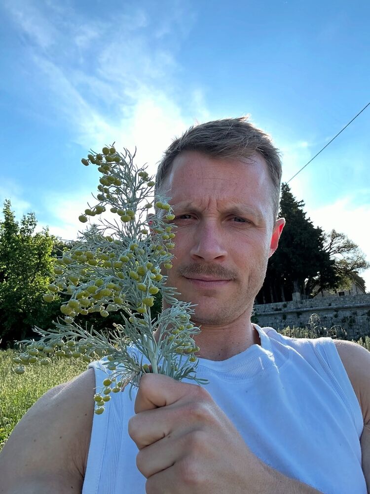 ���� 55634442 ������� ����, 45 ���, ���� ���������� � ����������