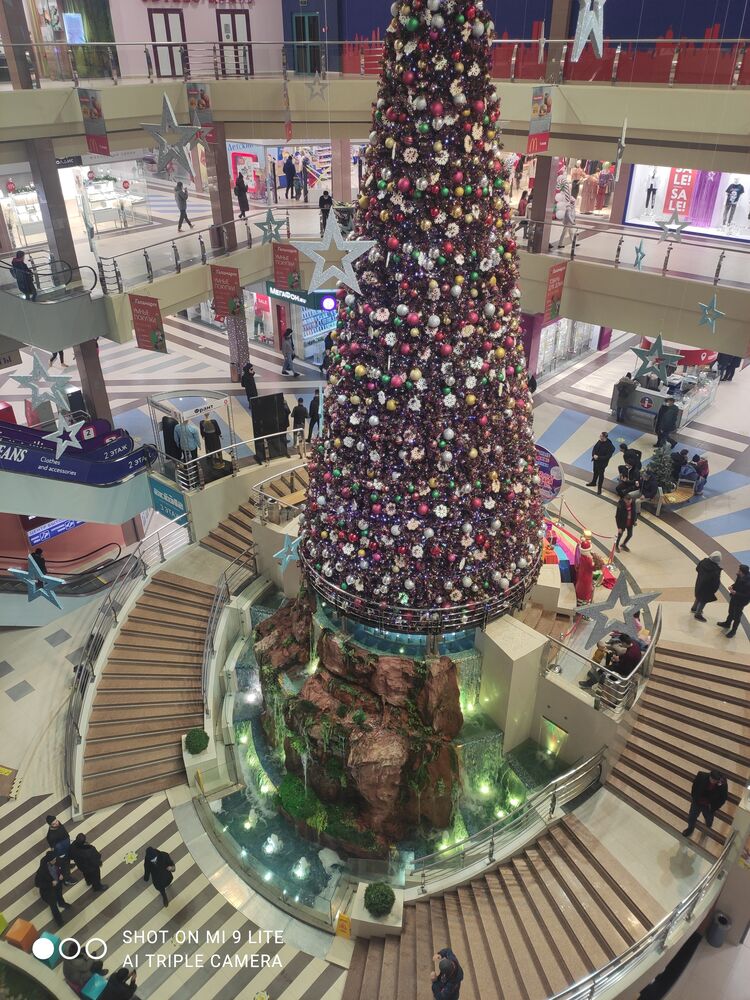 ���� 25101832 ������� ���, 31 ���, ���� ���������� � ����������