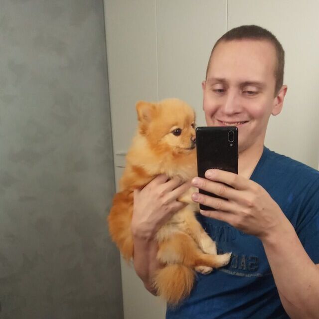 ���� 31168672 ������� �����, 35 ���, ���� ���������� � ��������