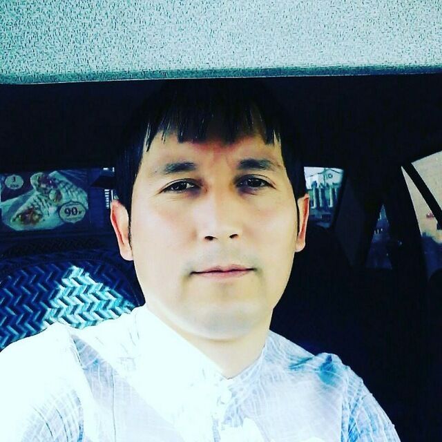  52088812  , 38 ,    