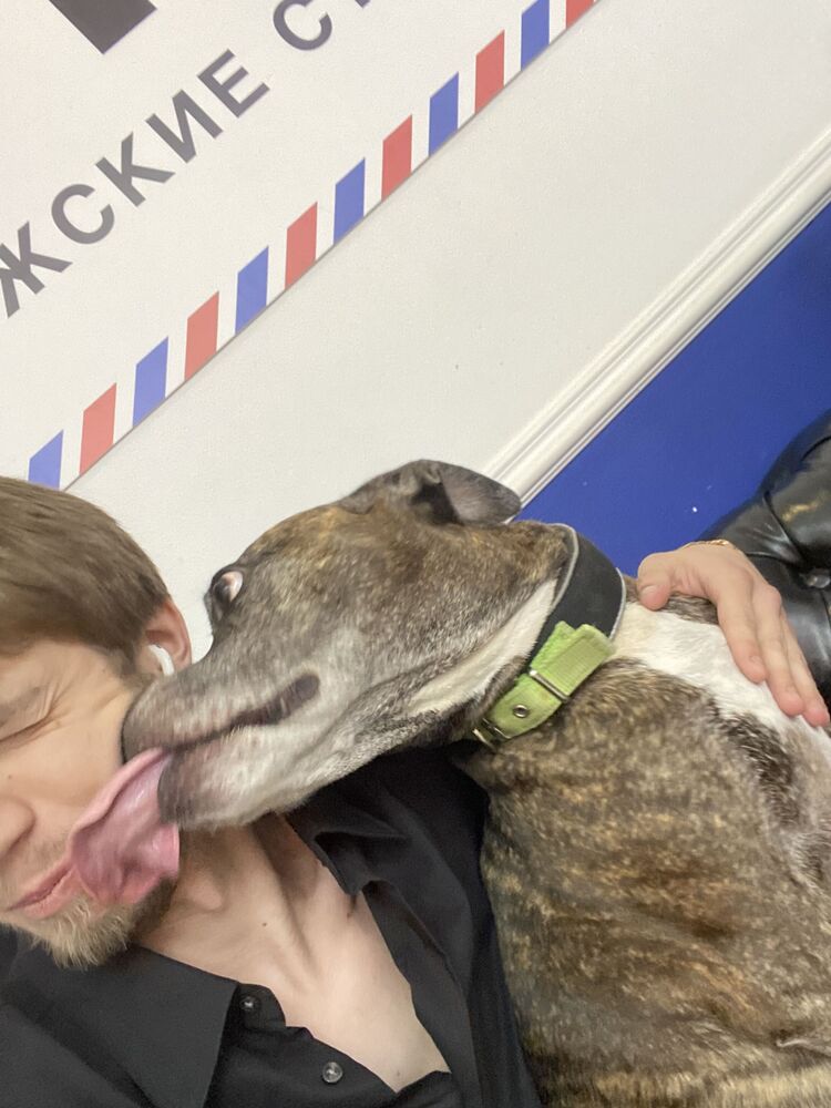 ���������� ������, ���� ������� ���� ��� ��, 27 ���, ������������ ��� ������, ����� � ���������