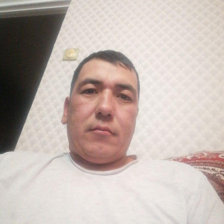  46632392  , 36 ,    