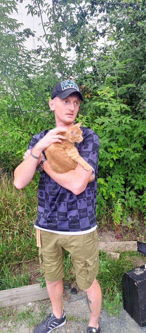  53148042  , 32 ,    -