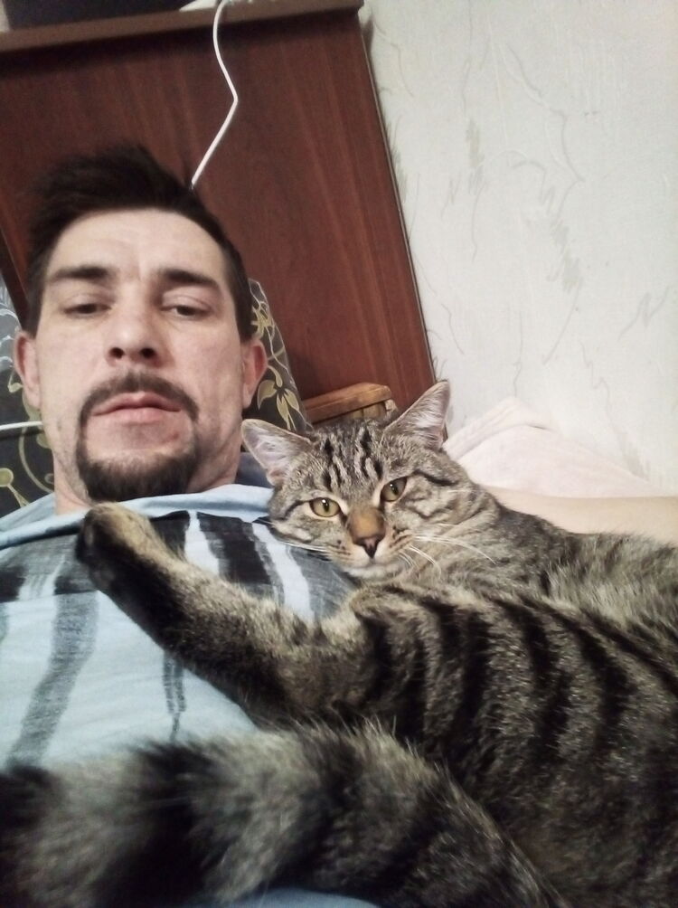  ,   , 41 ,   ,   , c 