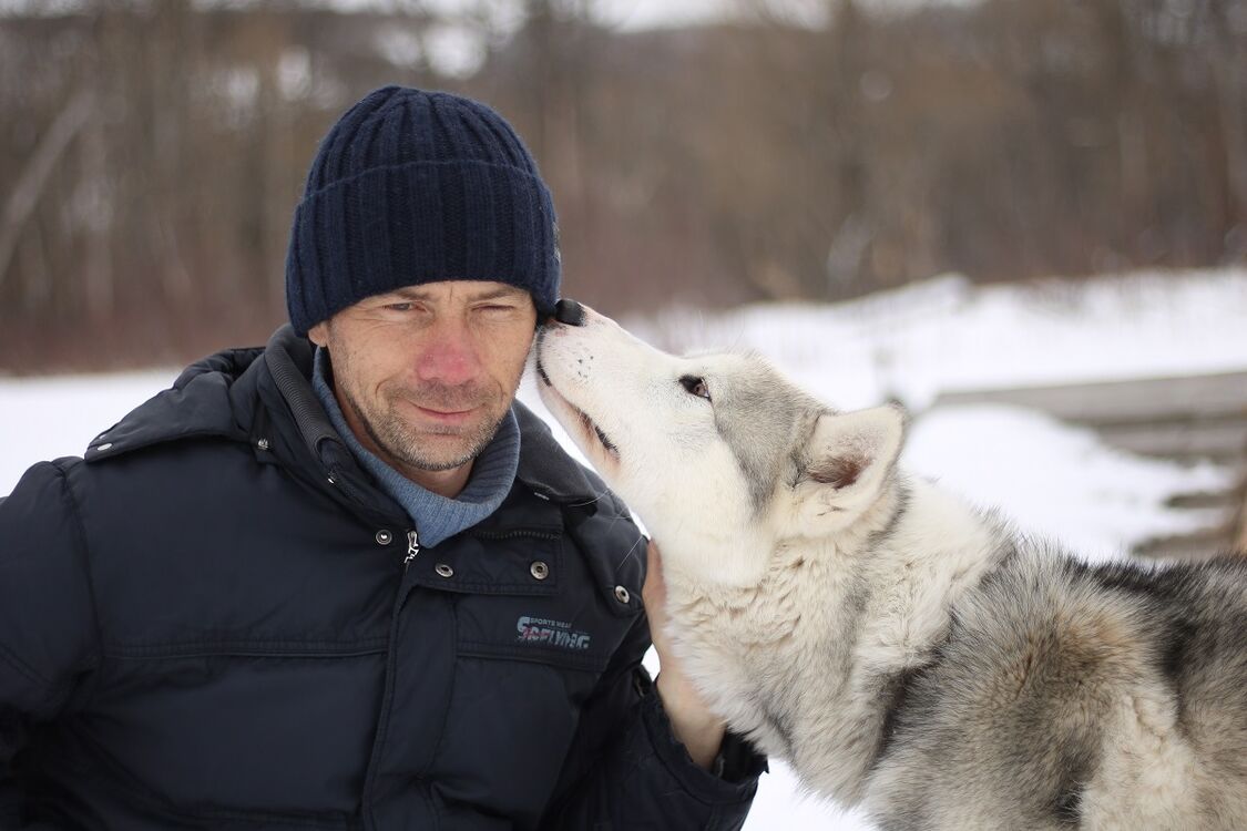 ���� 38562312 ������� �����, 49 ���, ���� ���������� � ������������