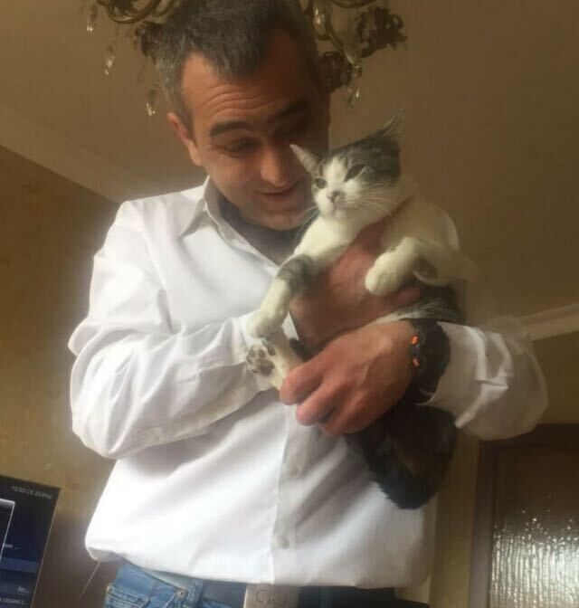 ���������� �����������, ���� ������� ����, 40 ���, ������������ ��� ������, c�������� ���������, ���������