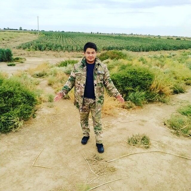  ,   Shahzod, 31 ,   ,   , c , 