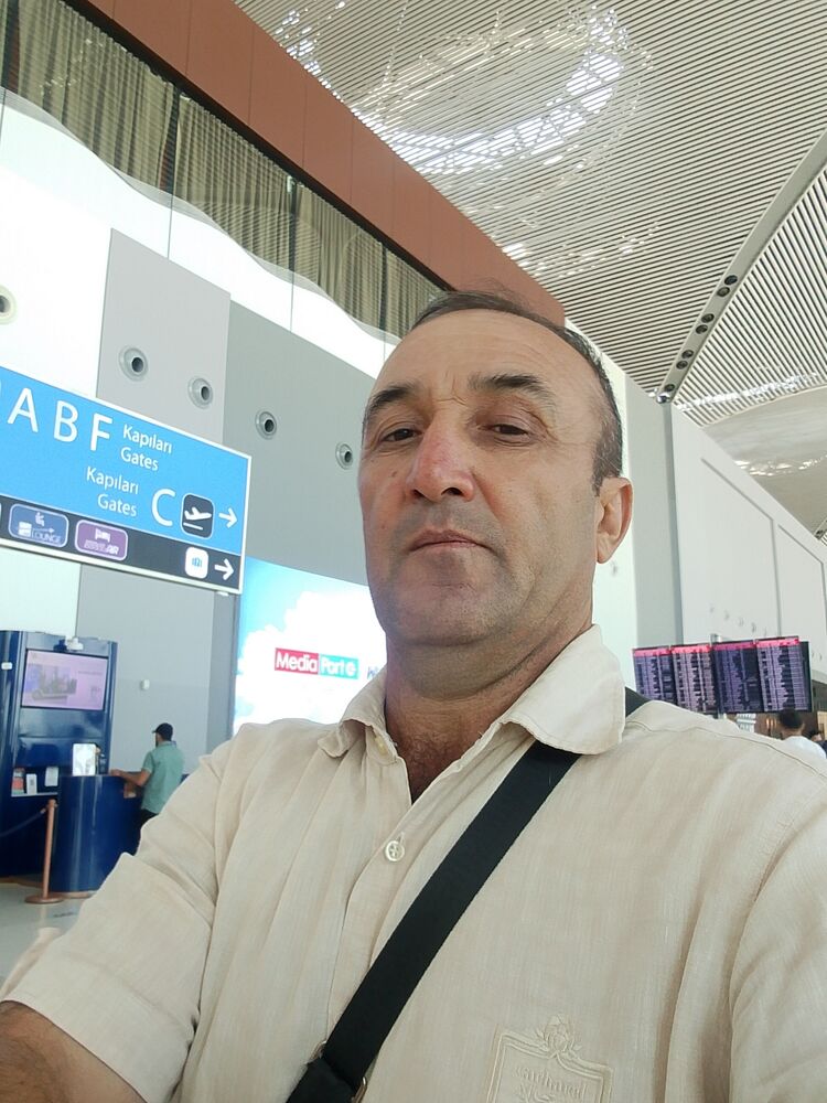  53398152  , 43 ,    