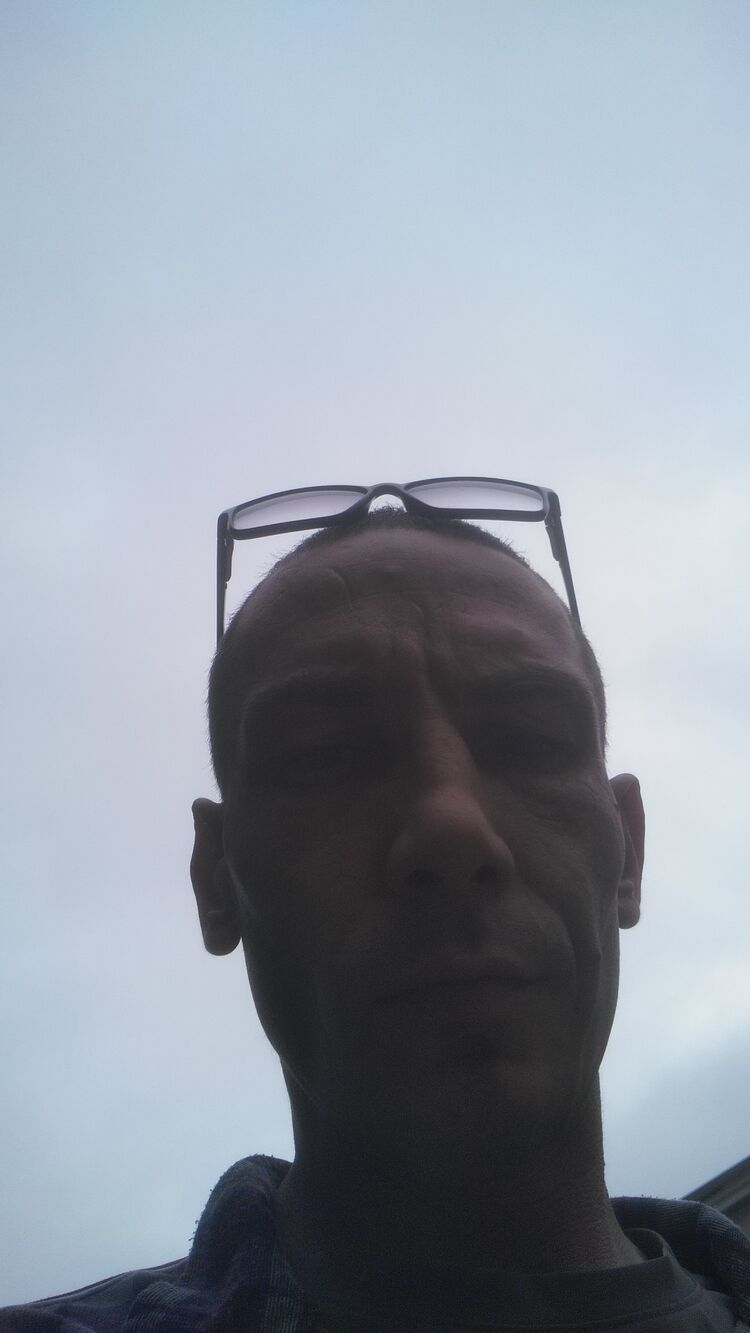  29518322  , 40 ,    