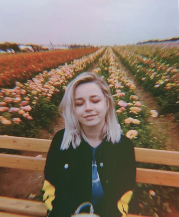  43171662  , 29 ,    -