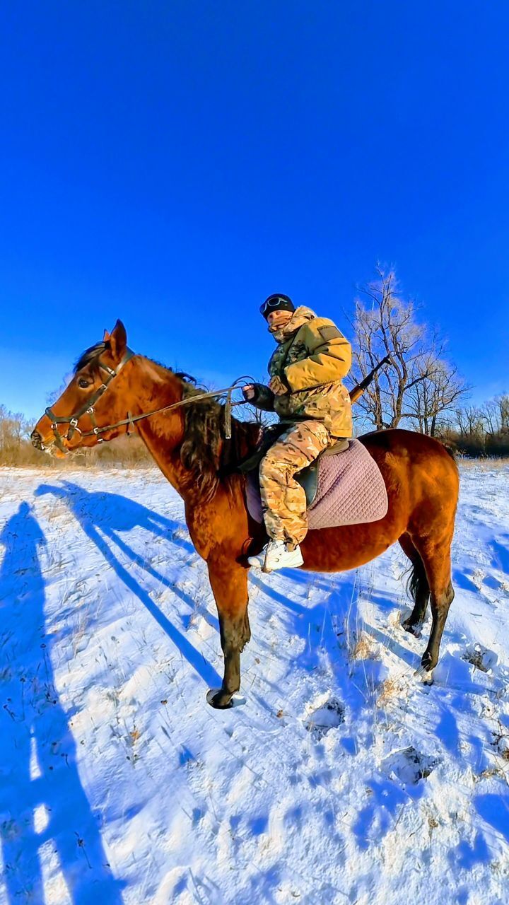 ���� 55742012 ������� �������, 35 ���, ���� ���������� � �����������