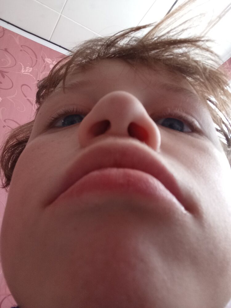 ���� 42445952 ����� ����, 24 ����, ���� ���������� � ������������