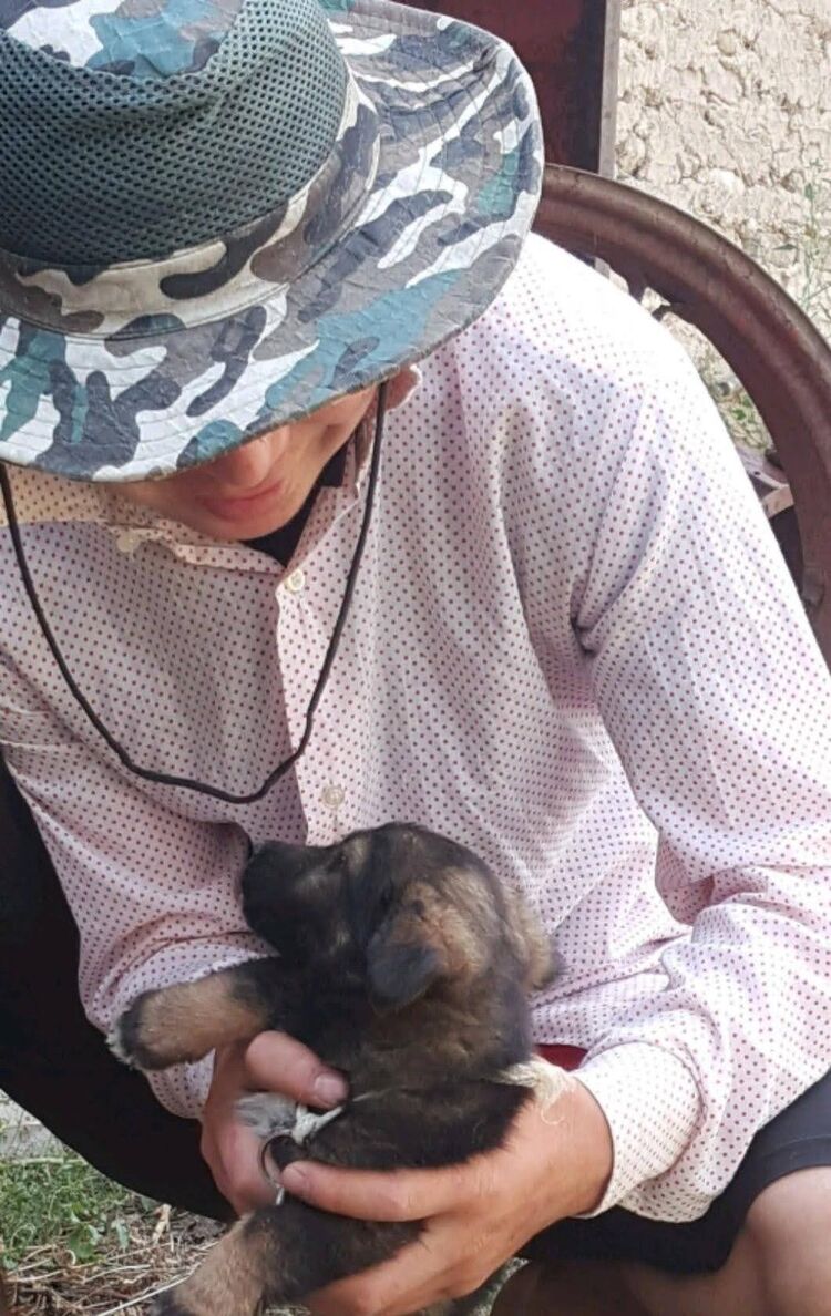 ���������� ������, ���� ������� ����, 31 ���, ������������ ��� ������, ����� � ���������