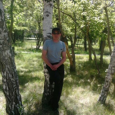 ���� 4815342 ������� ����, 44 ����, ���� ���������� � ���������