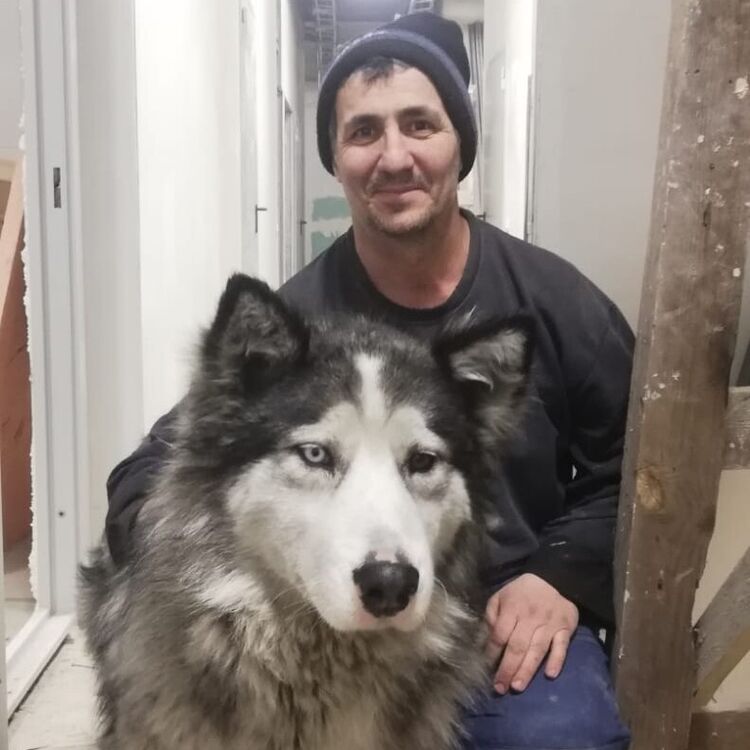  31464682  , 49 ,    --