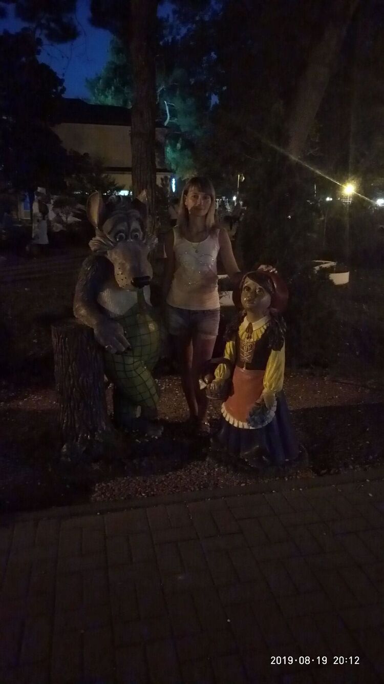  41311142  , 43 ,    