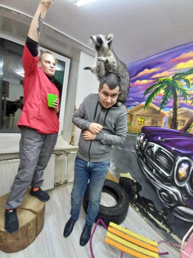  -,   , 35 ,   ,   , c 