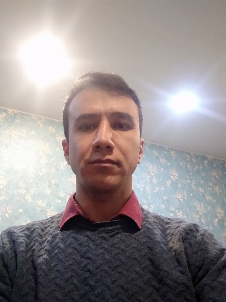  49504662  , 41 ,    