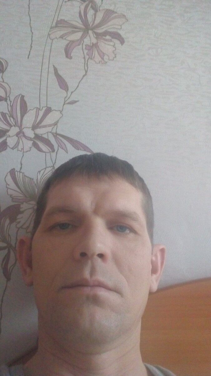   ,   , 43 ,   