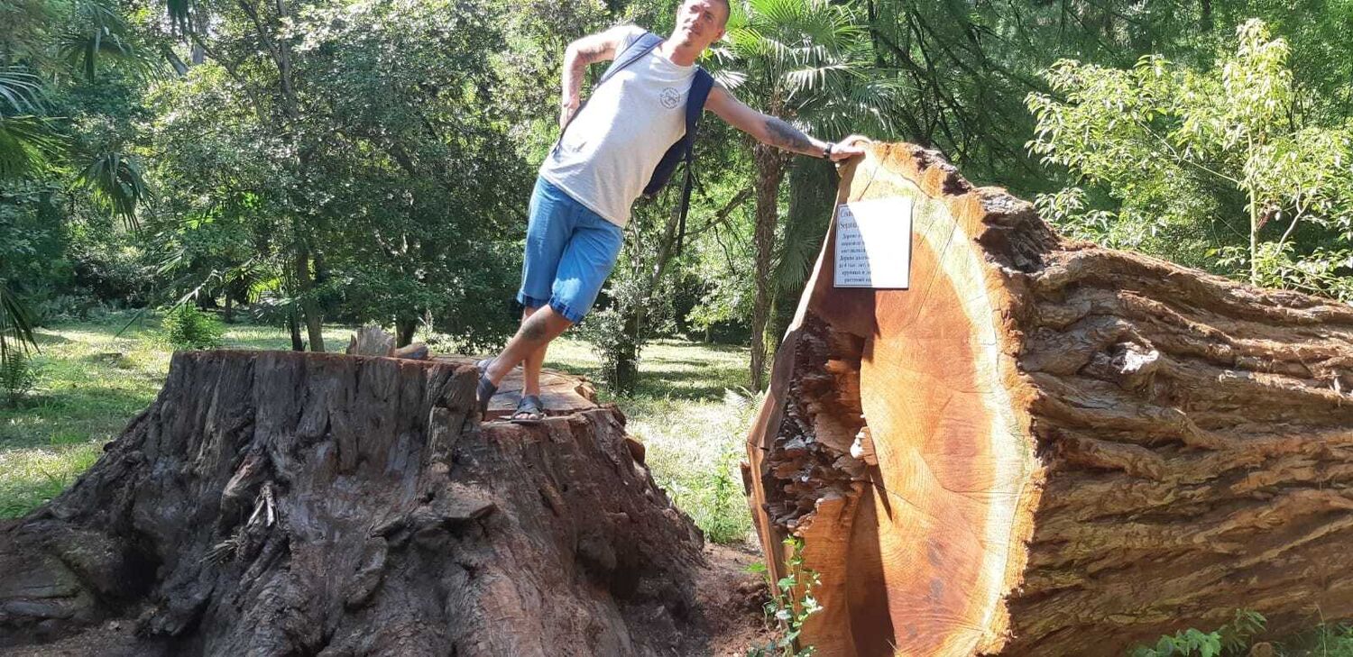  -,   , 36 ,   ,   