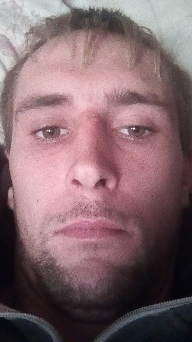 ���� 17511842 ������� ����, 30 ���, ���� ���������� � ���������